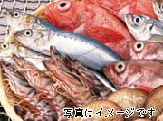 市場より届けてもらう旬の新鮮な魚